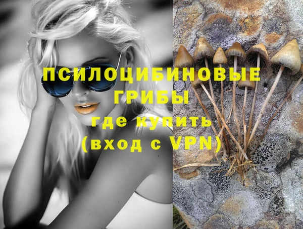 тгк Алексеевка
